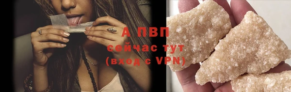 стаф Новозыбков