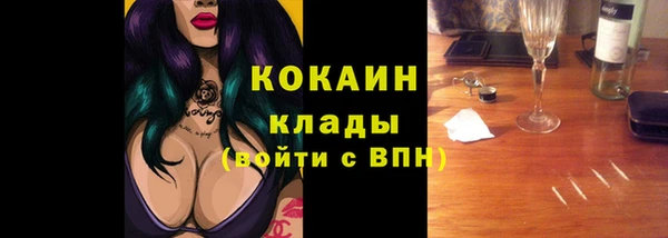 стаф Новозыбков