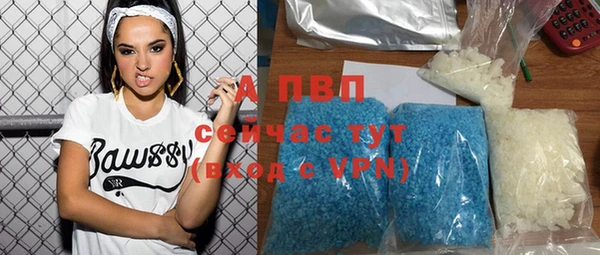 стаф Новозыбков